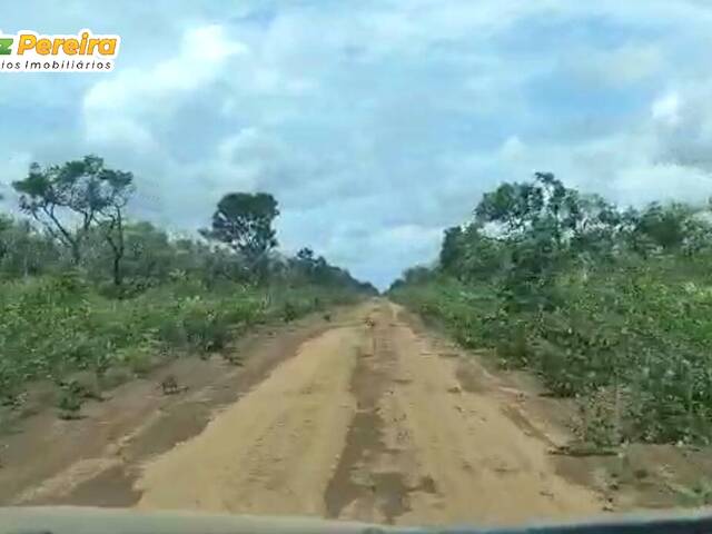 #2605 - Fazenda para Venda em Grajaú - MA - 3