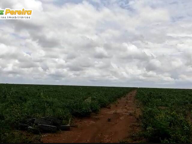 Venda em Vl Milton Gomes - Grajaú