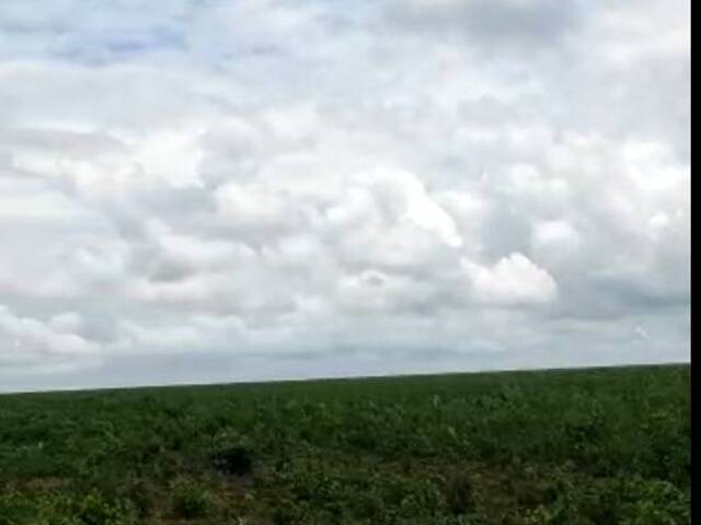 Fazenda para Venda em Grajaú - 4