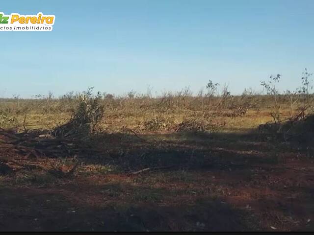 Fazenda para Venda em Dois Irmãos do Buriti - 4
