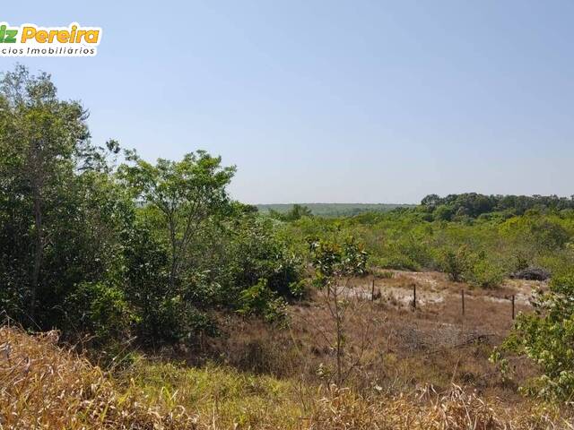 #2608 - Fazenda para Venda em Guarantã do Norte - MT