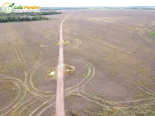 Fazenda para Venda em Rio dos Bois - 5