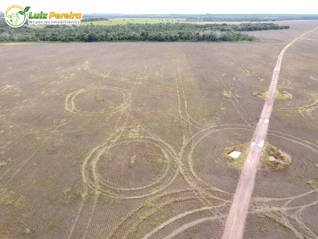 Fazenda para Venda em Rio dos Bois - 4