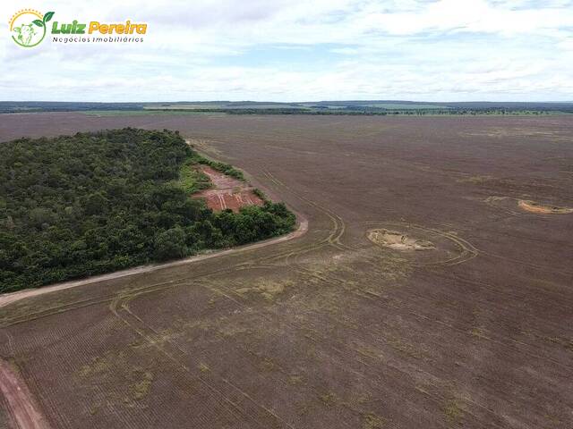 #2609 - Fazenda para Venda em Rio dos Bois - TO - 3