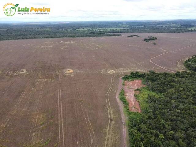 #2609 - Fazenda para Venda em Rio dos Bois - TO - 2