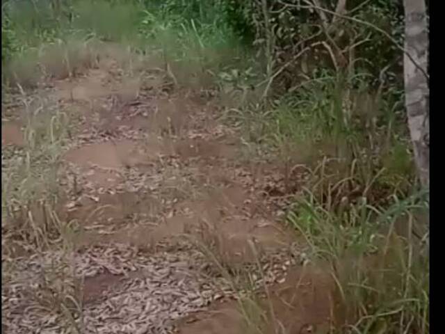 Fazenda para Venda em Peixe - 4