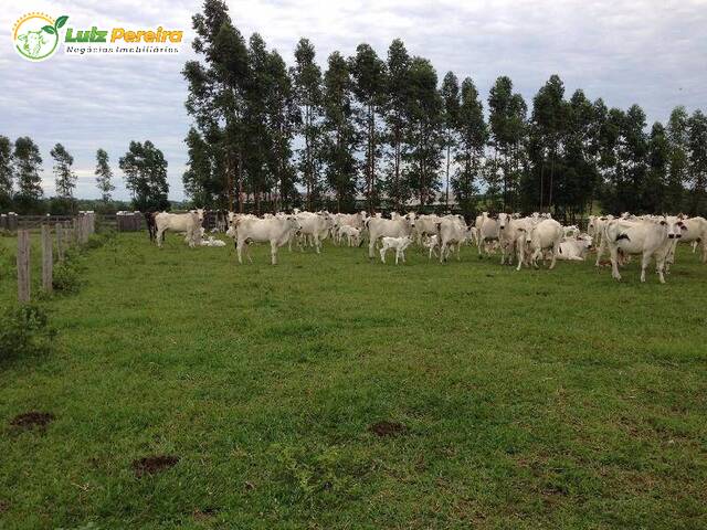 #2611 - Fazenda para Venda em Bonito - MS