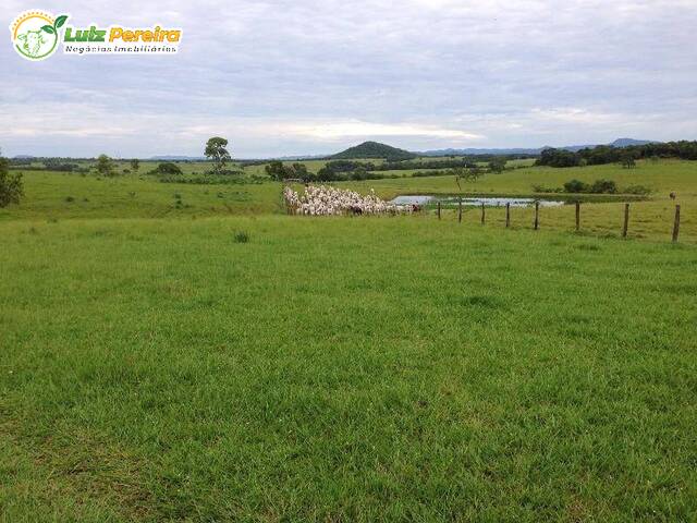 Fazenda para Venda em Porto Murtinho - 4