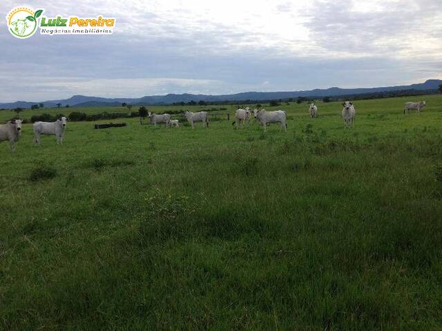 #2611 - Fazenda para Venda em Bonito - MS - 2