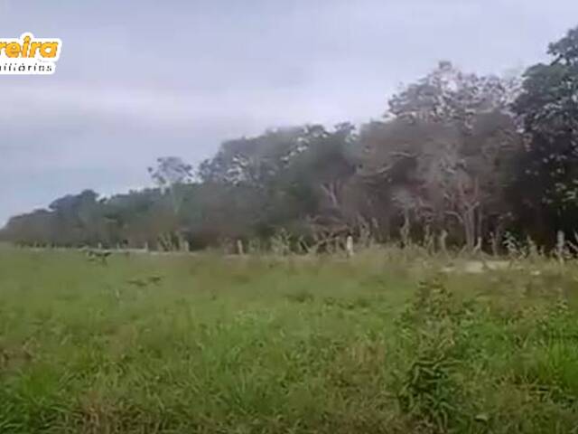 #2557 - Fazenda para Venda em São Valério da Natividade - TO - 2