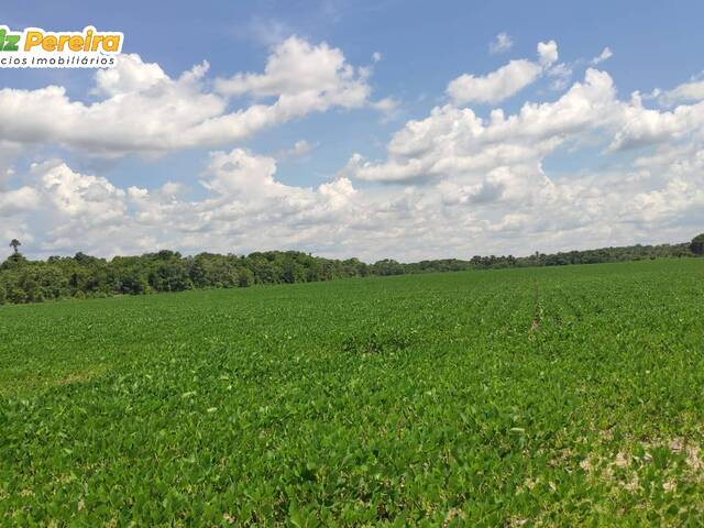 #2612 - Fazenda para Venda em Divinópolis do Tocantins - TO - 2