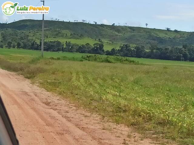 Fazenda para Venda em Guarantã do Norte - 5