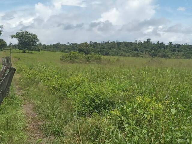 #2614 - Fazenda para Venda em Tomé-Açu - PA - 2