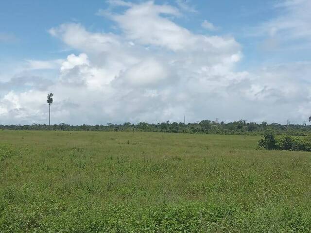 #2614 - Fazenda para Venda em Tomé-Açu - PA - 1