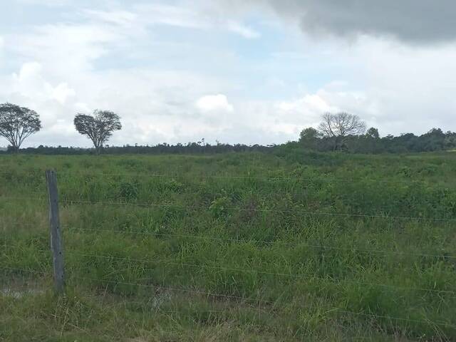 Fazenda para Venda em Tomé-Açu - 4