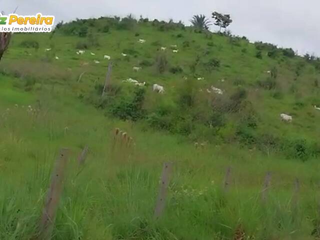 #2615 - Fazenda para Venda em Anapu - PA - 3