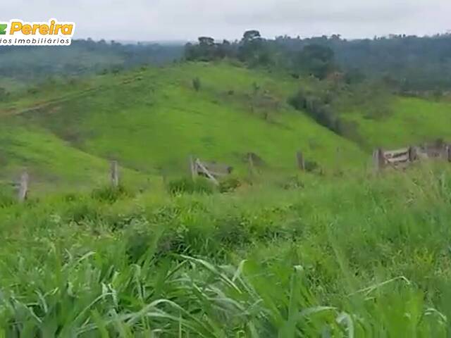 Fazenda para Venda em Anapu - 5