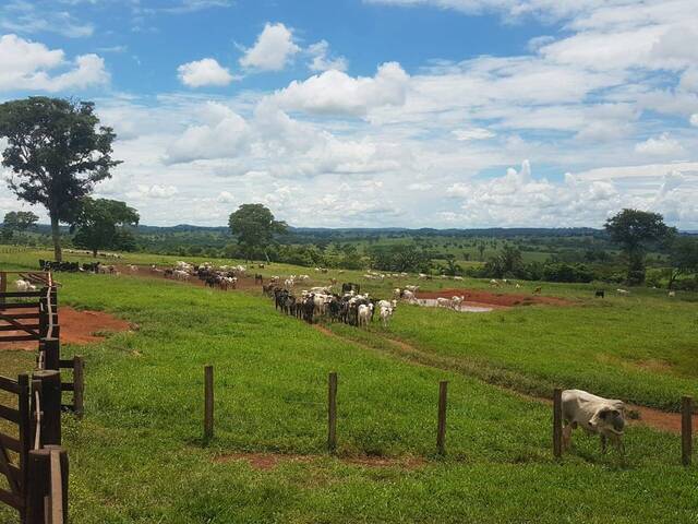 #2616 - Fazenda para Venda em Rondonópolis - MT - 1