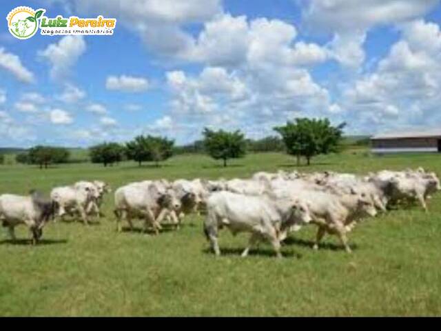 Fazenda para Venda em Rondonópolis - 4