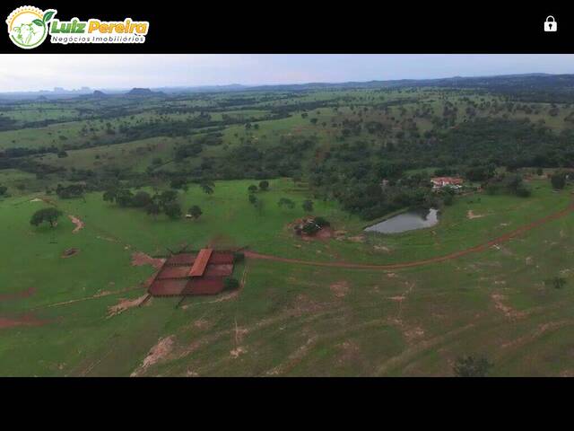 #2616 - Fazenda para Venda em Rondonópolis - MT - 3