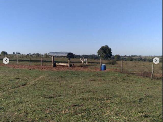 #2617 - Fazenda para Venda em Rochedo - MS