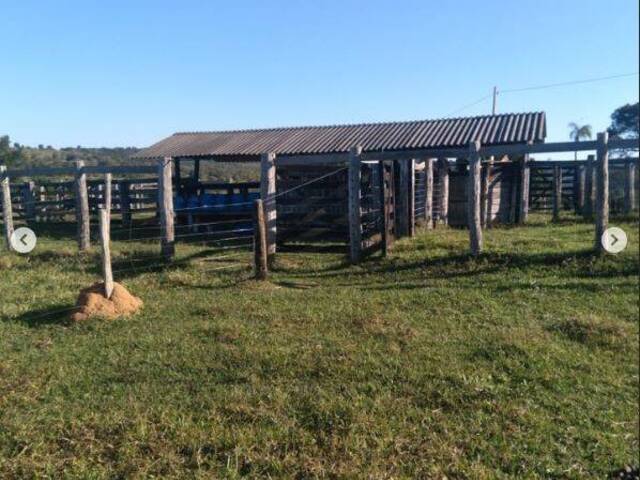 Fazenda para Venda em Rochedo - 4