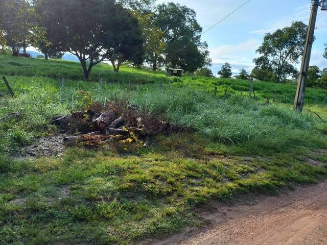 Fazenda para Venda em Almas - 5