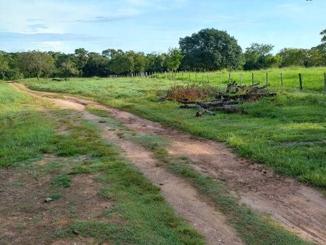 Fazenda para Venda em Almas - 4