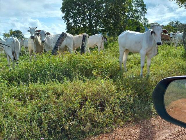 #2618 - Fazenda para Venda em Almas - TO - 2