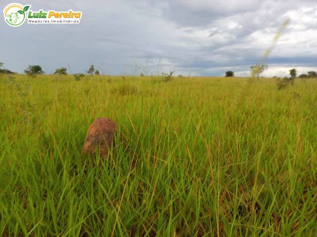 Fazenda para Venda em Recursolândia - 5