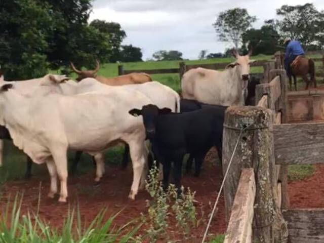 #2508 - Fazenda para Venda em Maracaju - MS - 2