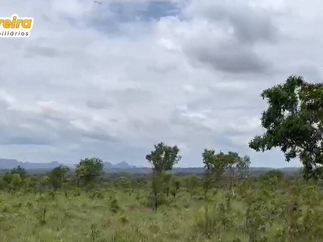 #2624 - Fazenda para Venda em Recursolândia - TO - 3