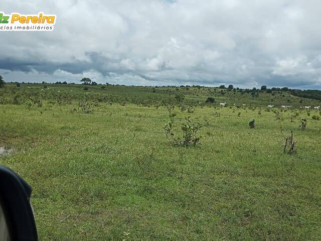 #2626 - Fazenda para Venda em Pedro Gomes - MS - 1