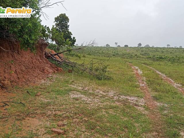 Fazenda para Venda em Pedro Gomes - 4