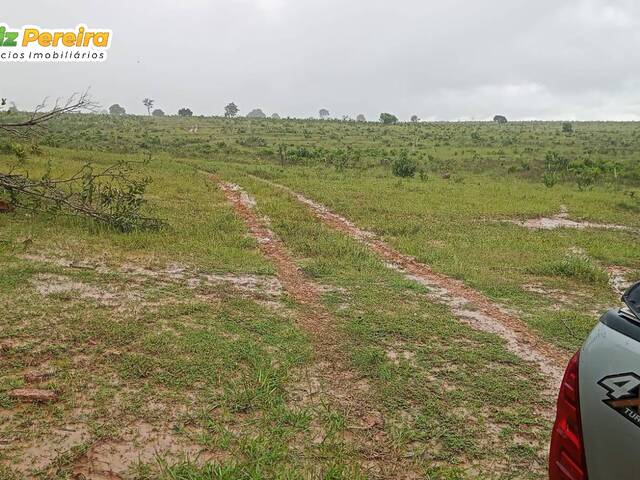 Fazenda para Venda em Pedro Gomes - 5