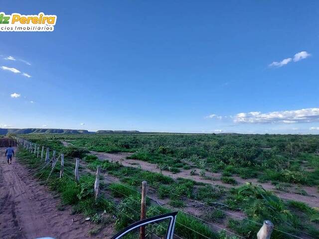 #2627 - Fazenda para Venda em Alvorada do Gurguéia - PI - 3