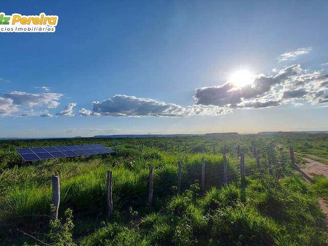 Fazenda para Venda em Alvorada do Gurguéia - 4