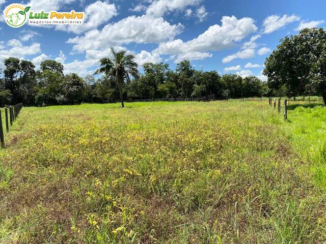 #2627 - Fazenda para Venda em Alvorada do Gurguéia - PI - 2