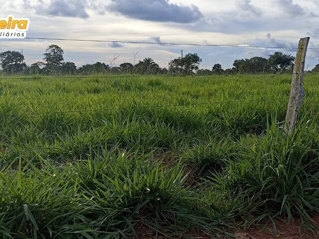 #2629 - Fazenda para Venda em Imperatriz - MA