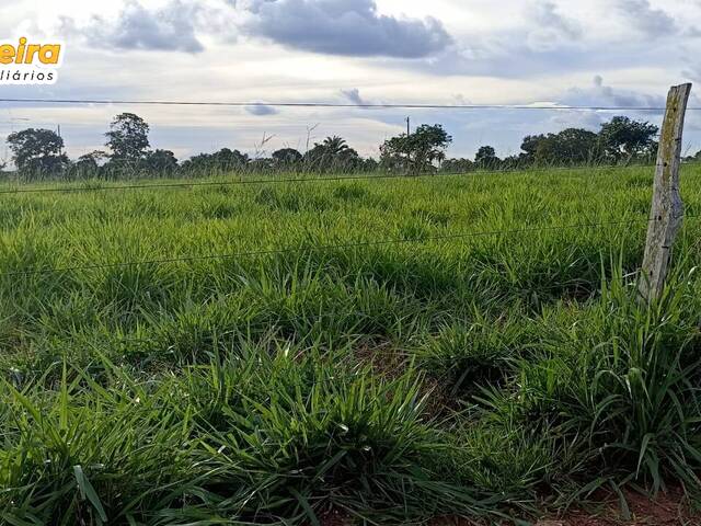 Fazenda para Venda em Imperatriz - 5