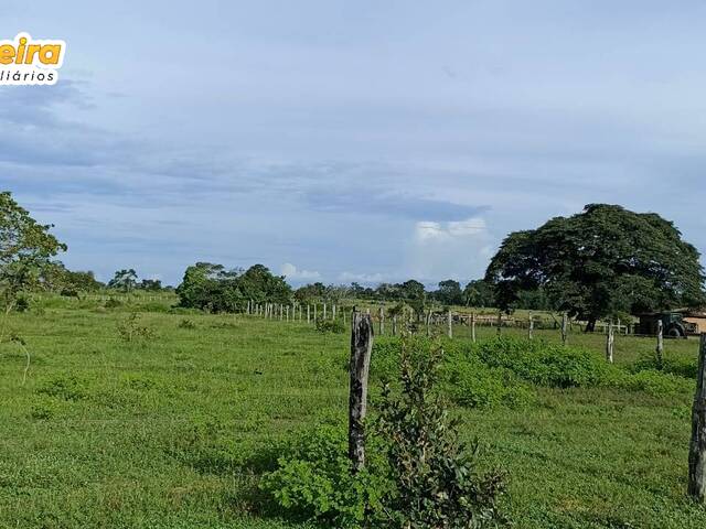 #2629 - Fazenda para Venda em Imperatriz - MA - 2