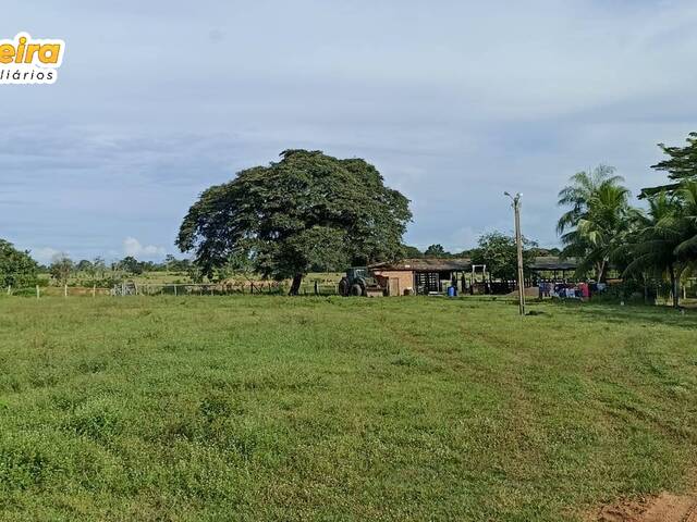#2629 - Fazenda para Venda em Imperatriz - MA - 3