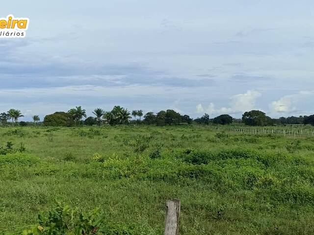 Fazenda para Venda em Imperatriz - 4