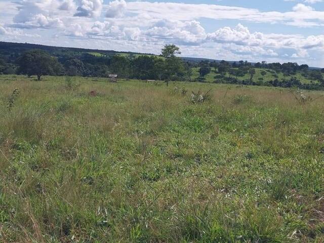 #2630 - Fazenda para Venda em Balsas - MA - 3