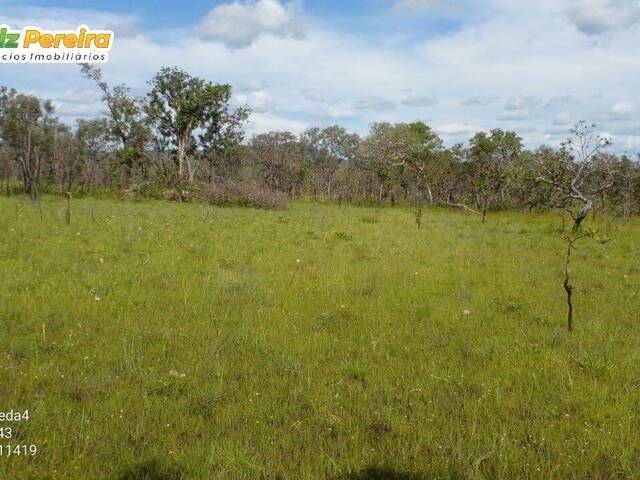 Fazenda para Venda em Arraias - 4