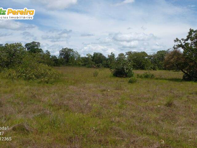 Venda em Zona Rural - Arraias