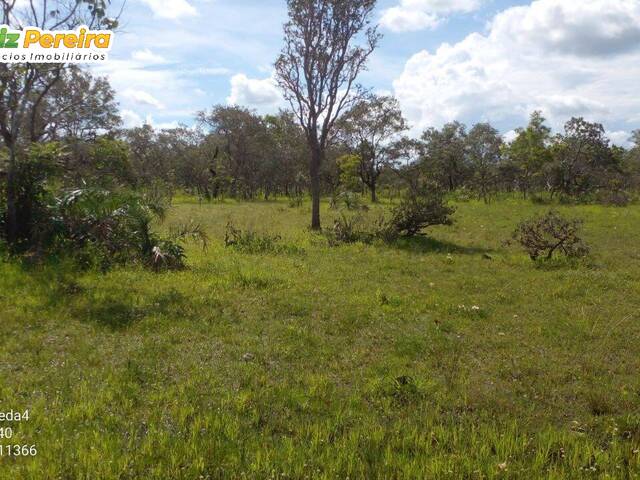 #2631 - Fazenda para Venda em Arraias - TO - 2