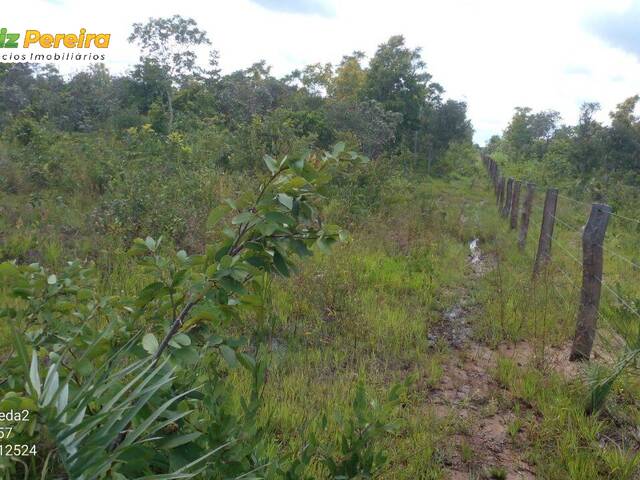 Fazenda para Venda em Arraias - 5
