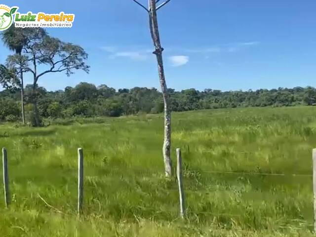 #2623 - Fazenda para Venda em Anastácio - MS - 3