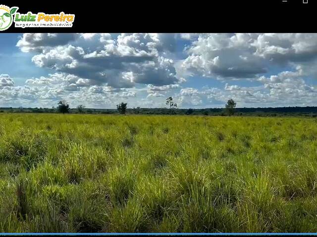 Fazenda para Venda em Rio Maria - 4